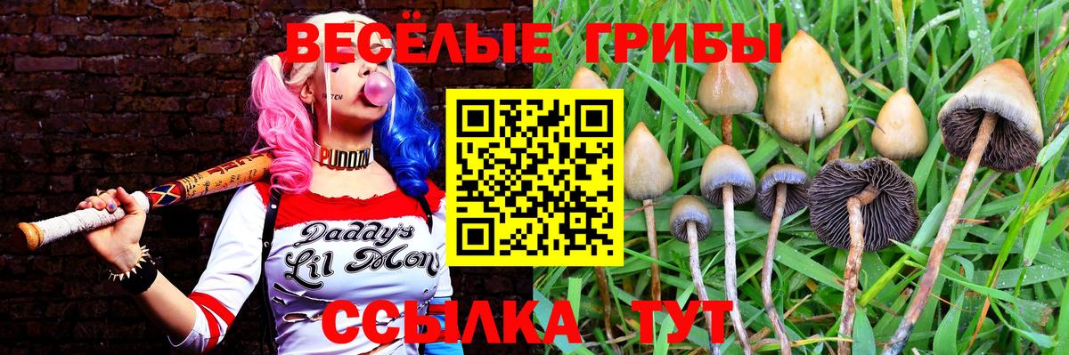 Галлюциногенные грибы Cubensis  Вход с VPN  Шарыпово 