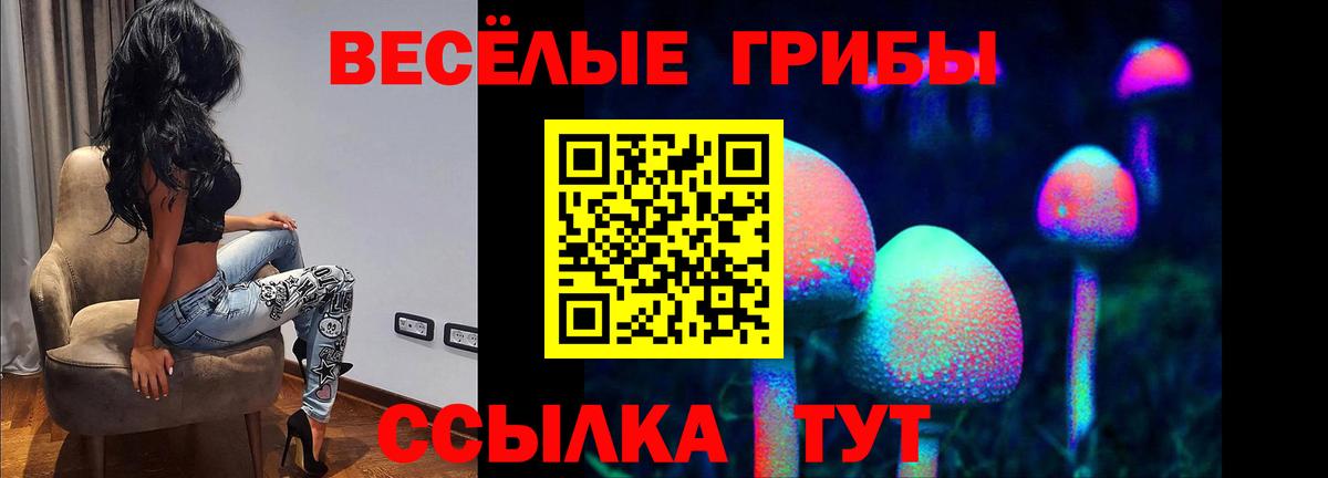 Псилоцибиновые грибы Psilocybe Шарыпово